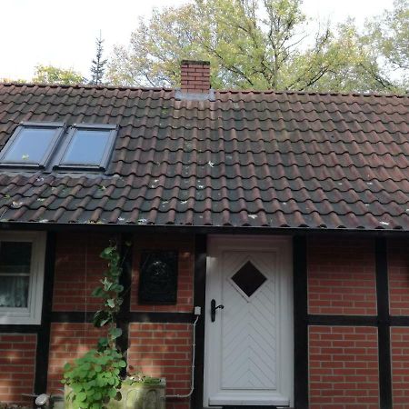 Ferienhaus In Rumke Bippen Luaran gambar